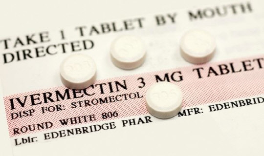 구충제 '이버멕틴'. 연합뉴스